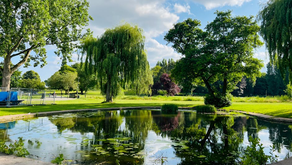 A large pond surrounded by lush green trees and well-maintained grass in a park setting, with a weeping willow tree prominently positioned near the water's edge. The pond's surface reflects the surrou