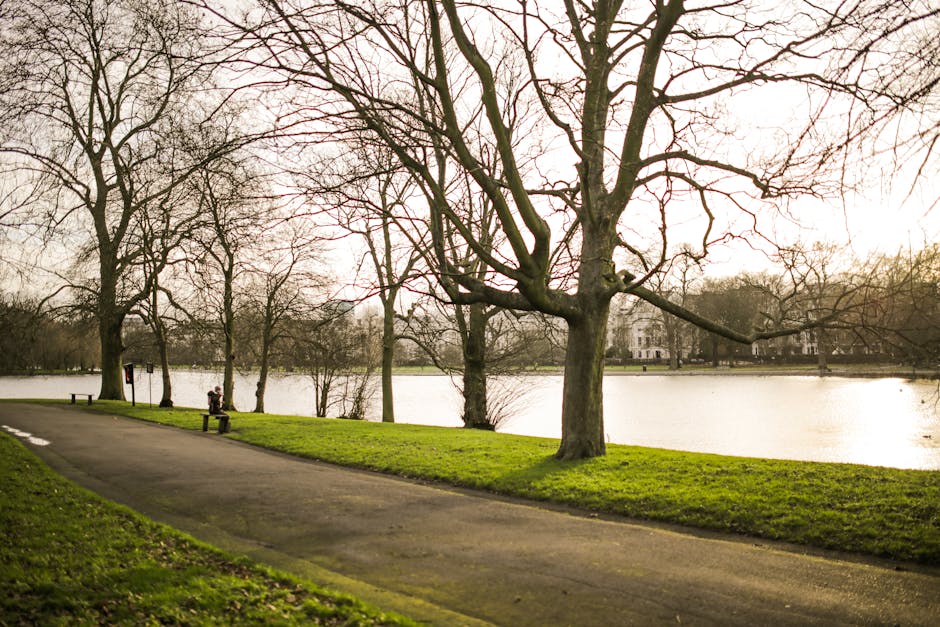 A large pond surrounded by lush green trees and well-maintained grass in a park setting, with a weeping willow tree prominently positioned near the water's edge. The pond's surface reflects the surrou