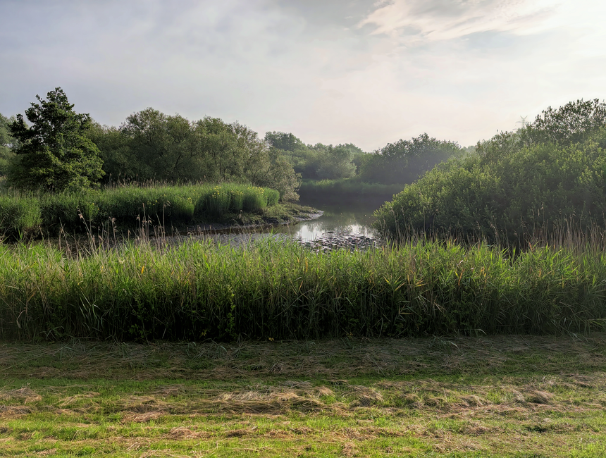 A daytime view of a narrow canal in Hackney Marshes, lined with trees on both sides, with several boats docked along the banks, some covered with tarpaulins. A paved footpath runs adjacent to the cana